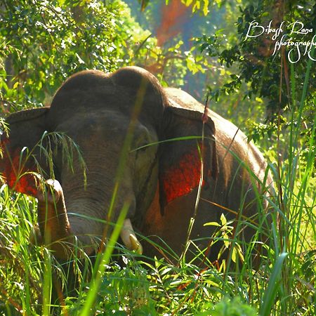 Mr. B'S Place Bardiya Экстерьер фото