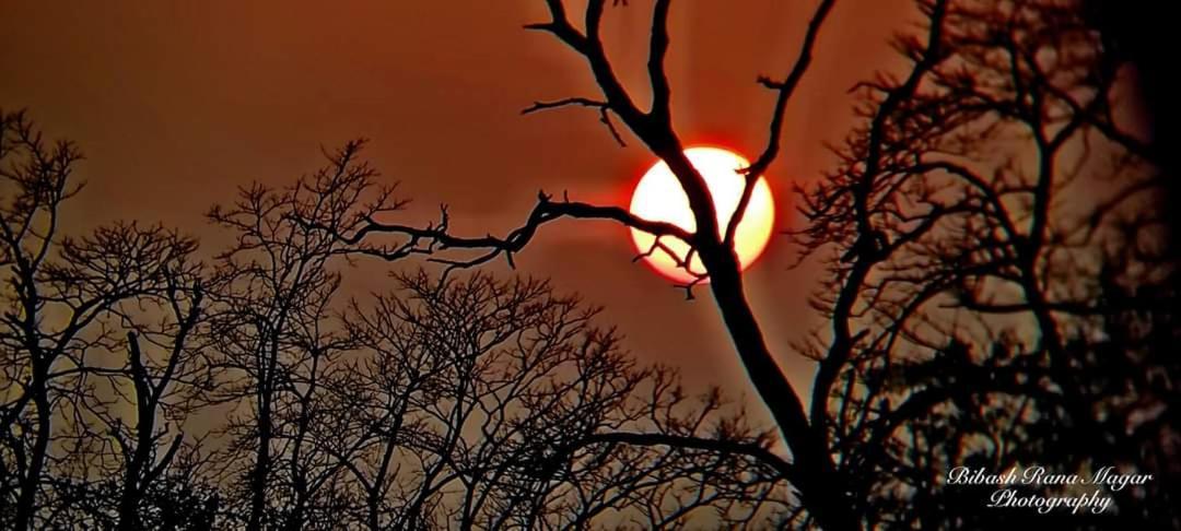 Mr. B'S Place Bardiya Экстерьер фото