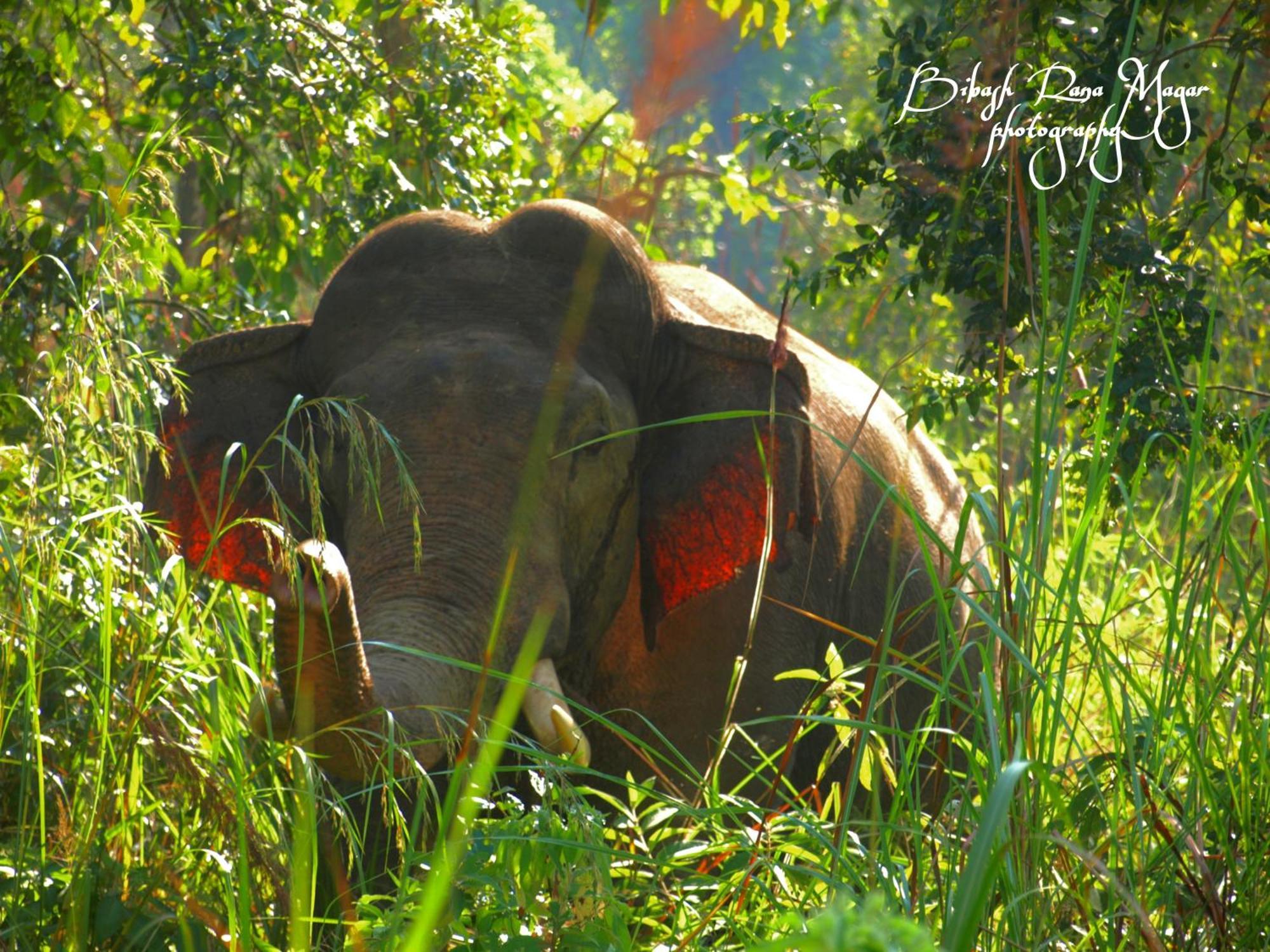 Mr. B'S Place Bardiya Экстерьер фото