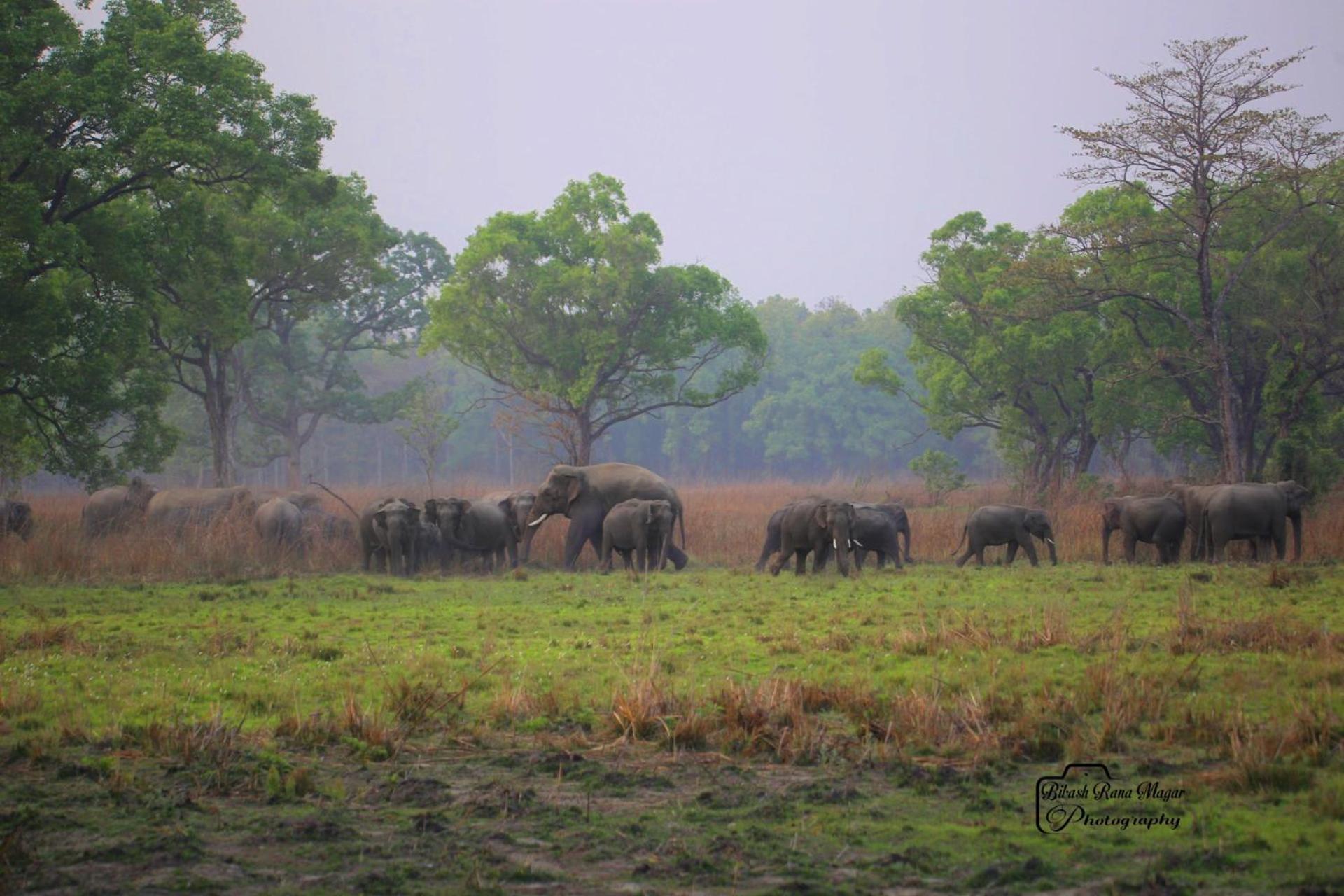 Mr. B'S Place Bardiya Экстерьер фото