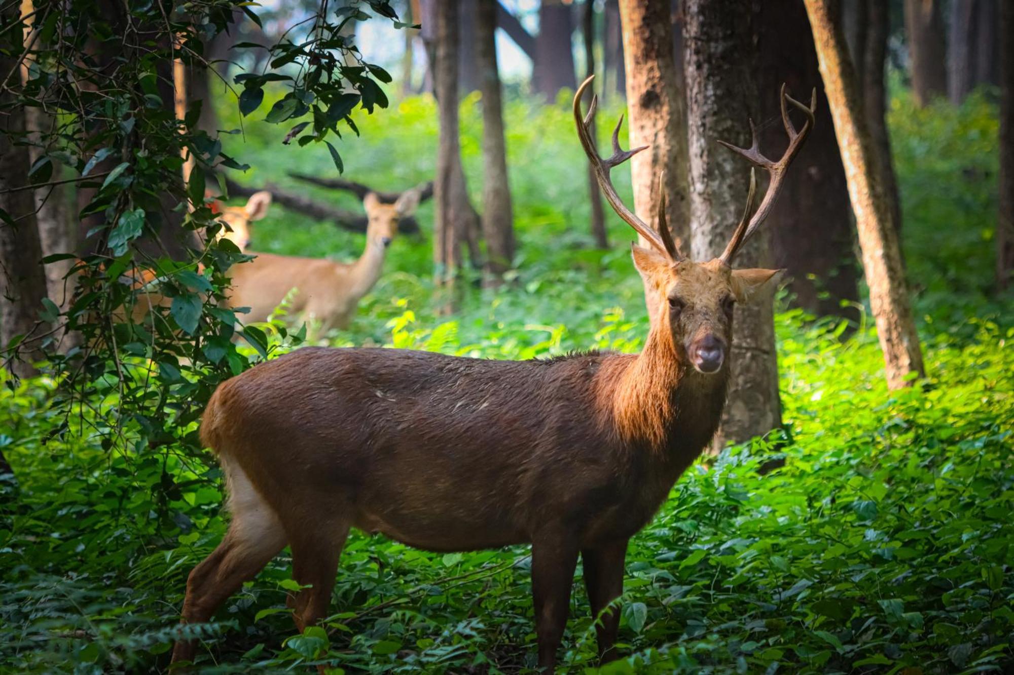 Mr. B'S Place Bardiya Экстерьер фото